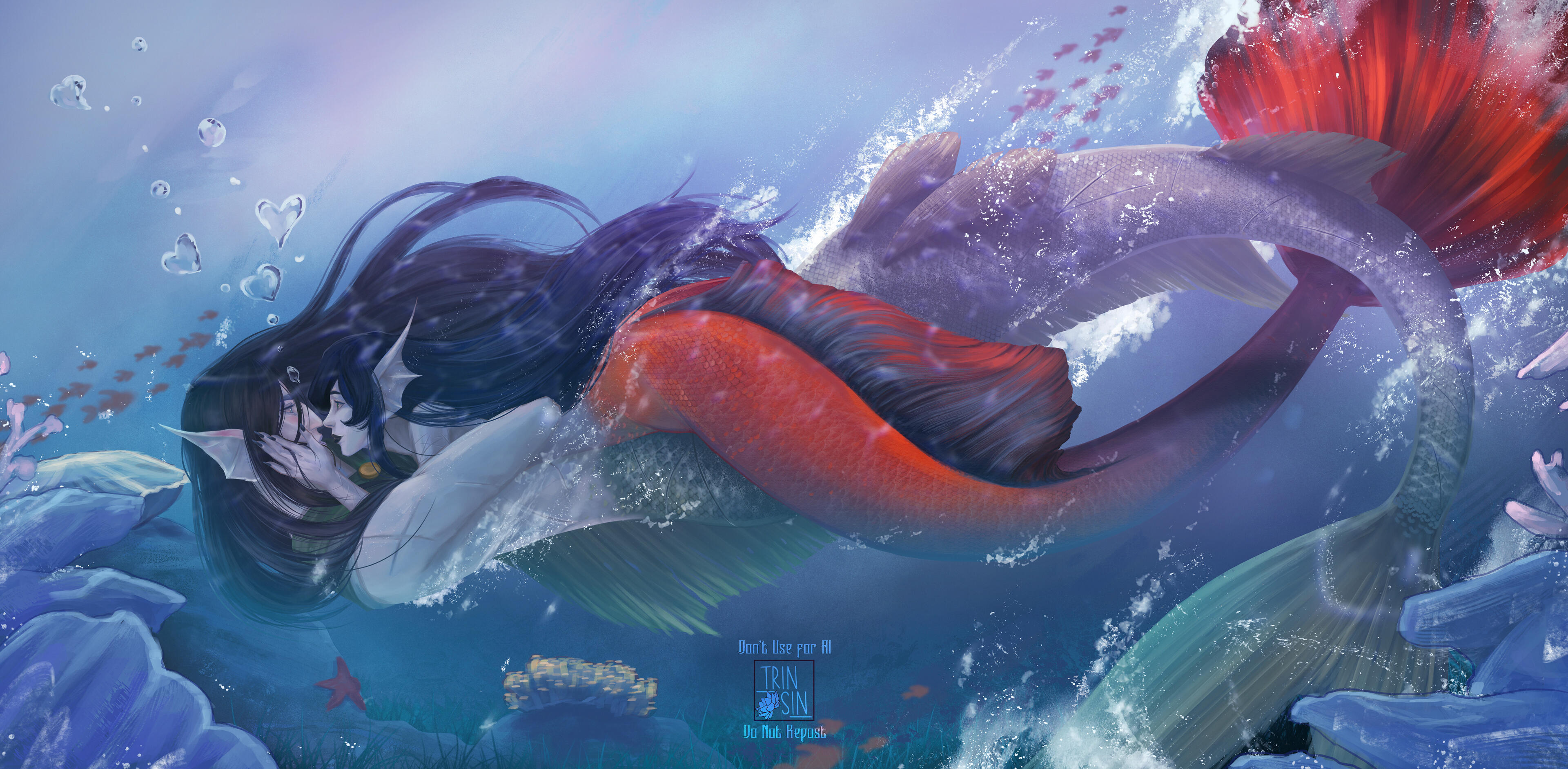 Sea Courtship Sea Courtship
